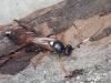 Diphyus raptorius